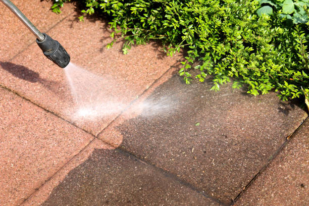 Best Power Washing Near Me  in Clewiston, FL